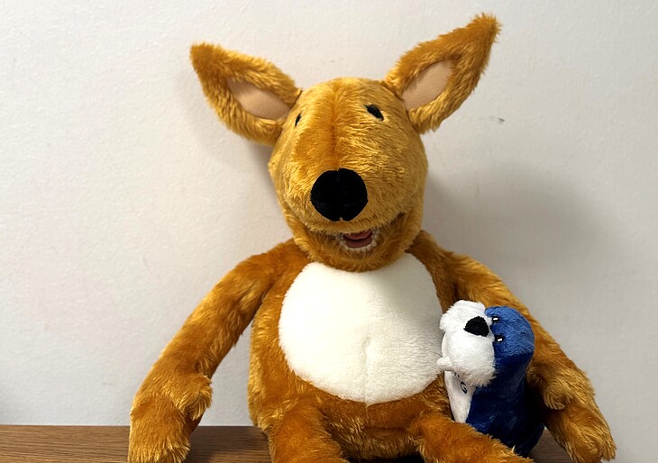 Zahnputzfuchs und DMG Flossy