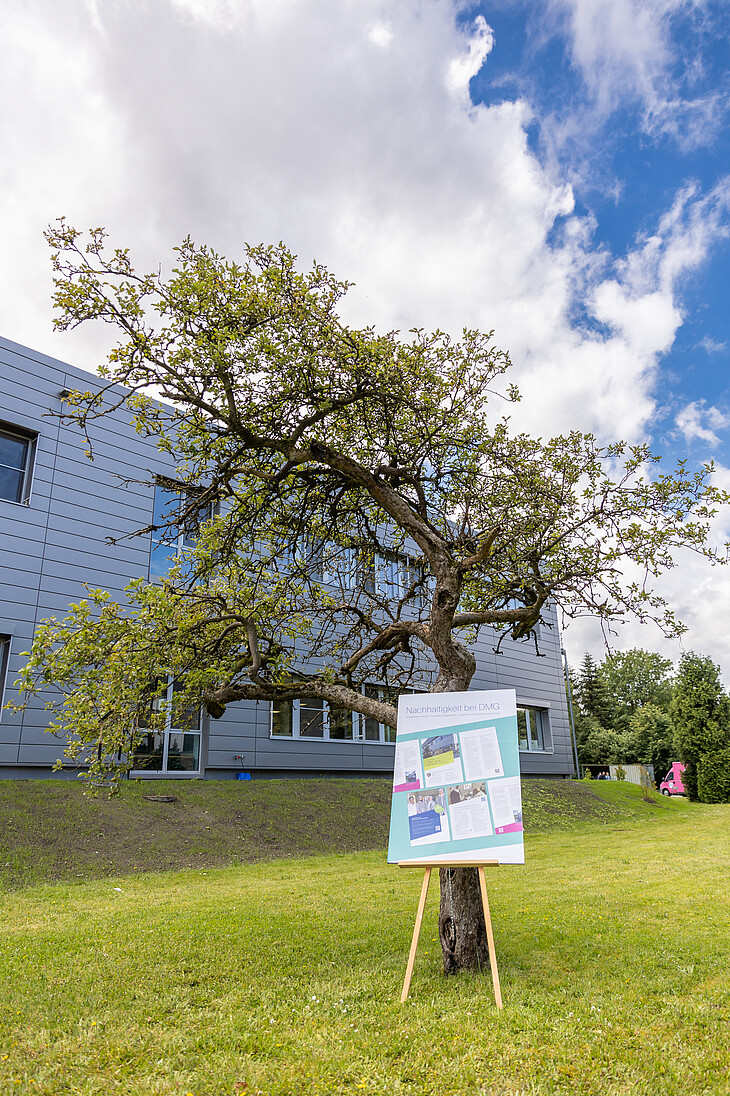 Der DMG Wishtree: Ein verwitterter Baum auf dem DMG gelände, auf einer Wiese vor einem modernen Gebäude