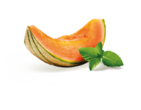 Melone und Minze