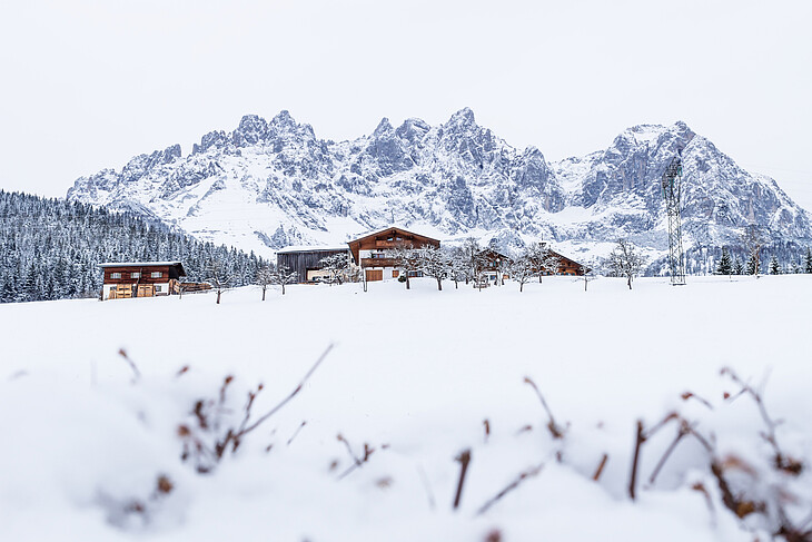Verschneite Alpenlandschaft